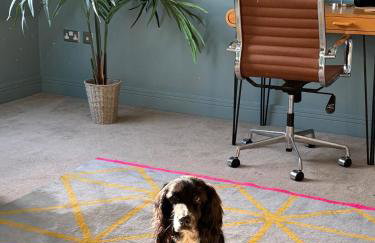 Central Plymouth Sea View Penthouse Apartment with Secure Parking - Foto 31