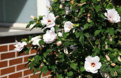 Holiday Home in Storkow mit Schönem Garten by Interhome - Foto 30