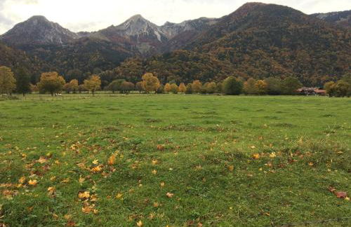 Apartment Geigelsteinstrasse - Photo 11