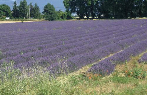 Le Mas des Restanques - Foto 55