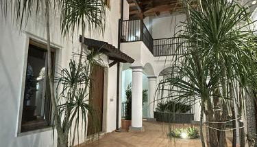 Zara Palace - Foto 5