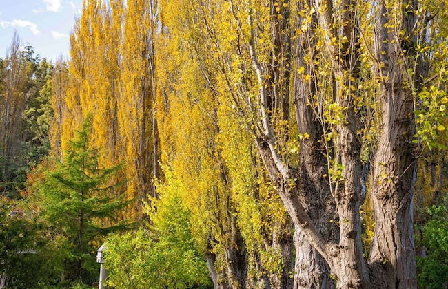 Magical Lucindale - 4 Bedroom House - Foto 57