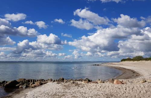 Bärenklau - Foto 19