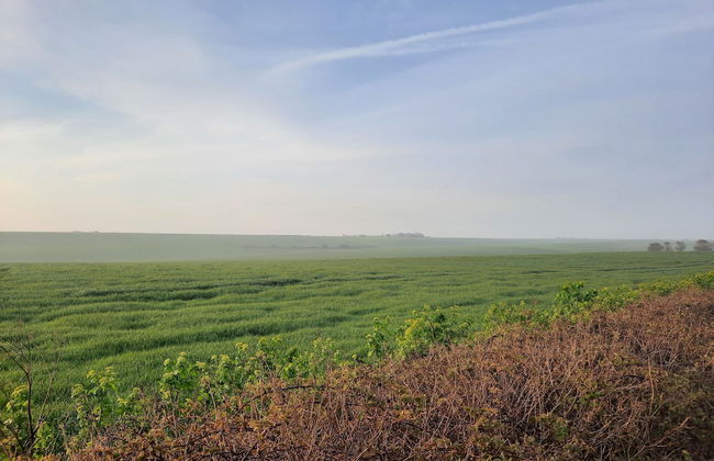 2 Bed Chalet, St Margaret's at Cliffe, South Coast - Foto 17