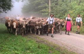 Ferienwohnung am Dorfbach - Foto 15