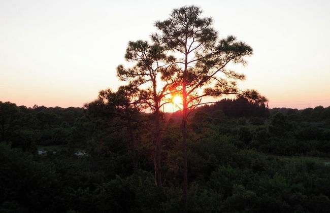 102 Natures way Unit 2303 - Foto 13