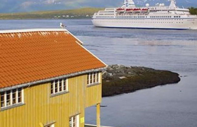 Découvrez la ville de Tromsø - Excursion d'une demi-journée - Photo 1