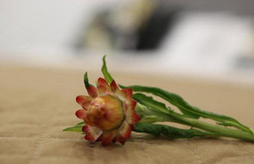 CASA VERDE Comfortable Air-Conditioned Modern Apartments - Foto 25