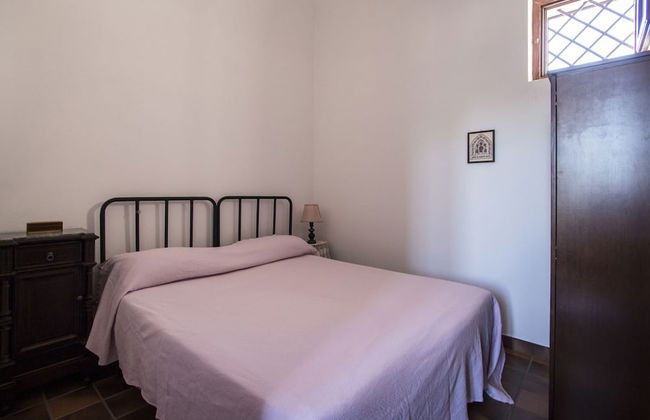 Masseria Citulo - Il Pino Grande - Foto 11