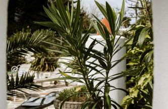 VILLA Centre Guethary piscine acces ocean a pied - Foto 69