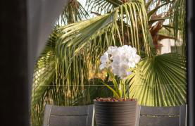 Exclusive Villa City, Beach & Golf - Photo 55