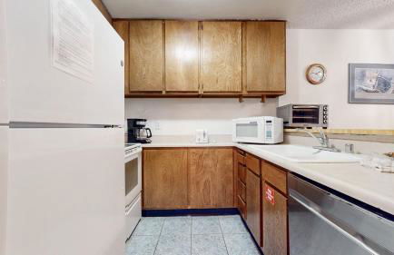 Summit Condominium #273 Condo - Foto 14