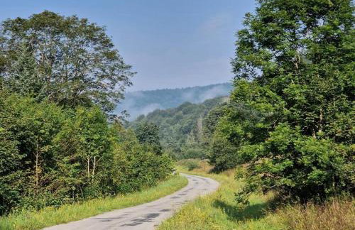 Nad Mikowym Potokiem - wydzielona część drewnianego domu z osobnym wejściem i ogrodem - Foto 49