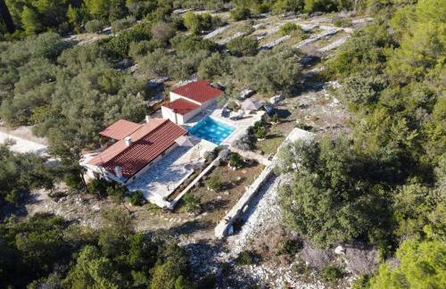 Stone House Lozica - Photo 40