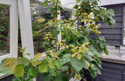 The Treehouse by Airlie - Foto 32