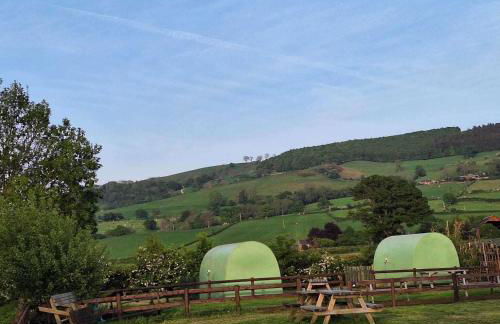 Green Dragon and Kitchen Pod - Sleeps 2 & Parking - Photo 7