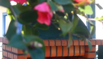 Casinha Robusto - Foto 2