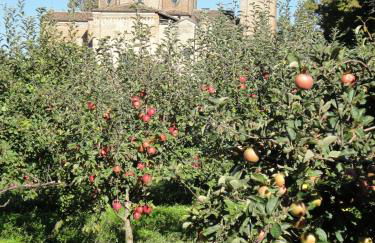 Agriturismo Santa Maria Bressanoro - Foto 31