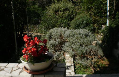 APARTMANI SENKA - VILLA OLIVER - Foto 75