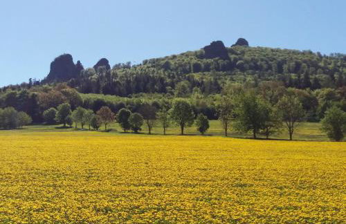 Panorama Ferienwohnungen im Hochsauerland - Foto 16