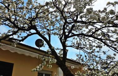 Villa Delle Ciliegie - Foto 26