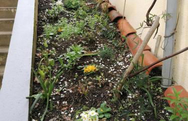 Gite chez Pierrette - Photo 3