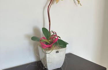 Casetta a Cavarretta - Foto 75