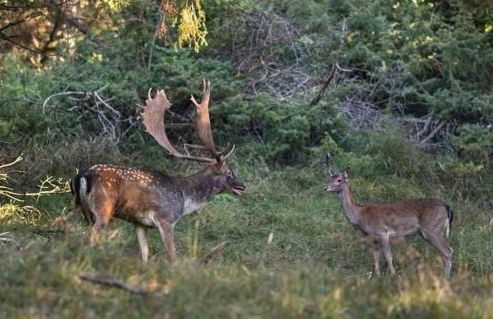 La Sala Vecchia - Lovely Tuscan Holiday house Badia Prataglia, Casentino Valley - Foto 35