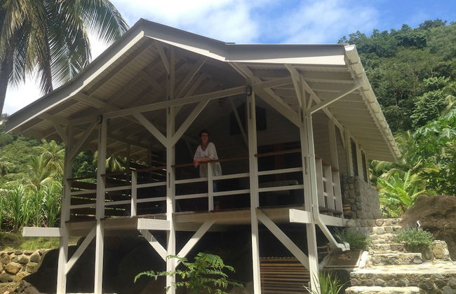 Citrus Creek Plantation - Photo 28