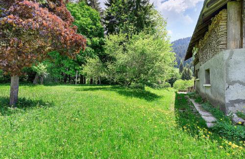 Le Planay - Photo 25