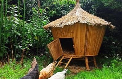 Gîtes By Medoc - Foto 12