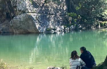 Quinta-lina de serpins - Foto 68