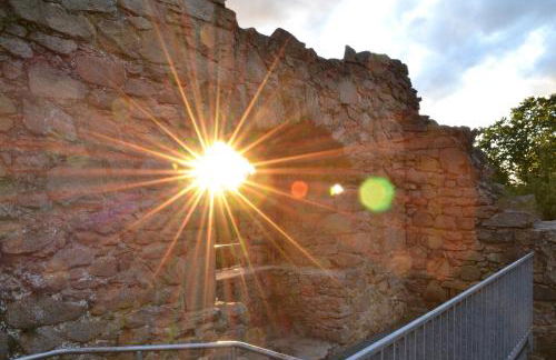 Blockhaus Hedwig - Photo 52