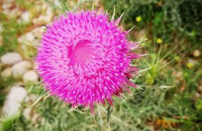 APARTMAN MAJSTOROVIĆ - Photo 19