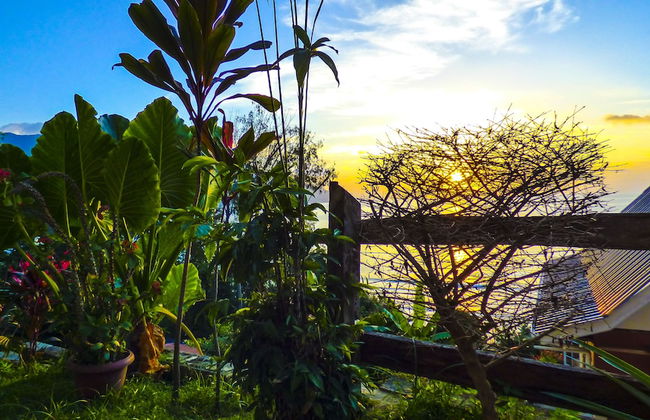 Mouggae Blues Villas - Photo 44