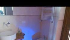 Viola apartamento - Foto 1