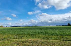 Escape and Relax on the Beautiful Coast North Norfolk - Foto 22
