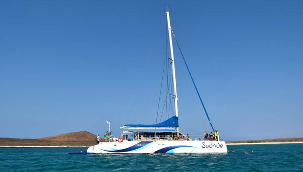 Voyagez à bord d'un catamaran