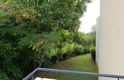 Locations Vacances Obernai Studio - Foto 41