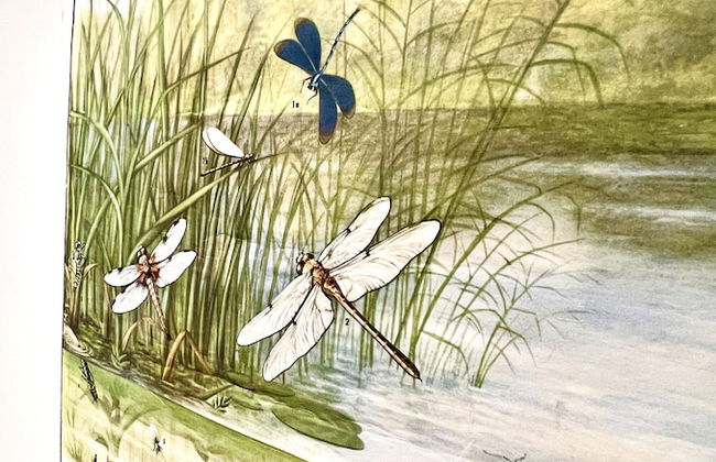 Lyttelton Boatique House - Photo 6