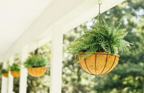 Dahlonega Escape, Wineries, Game Room, Hiking - Photo 33