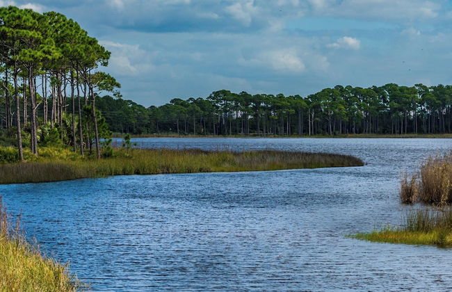 Private Pool in Grayton & Feet to the Beach; Next Door to Chiringo & Red Bar - Foto 41