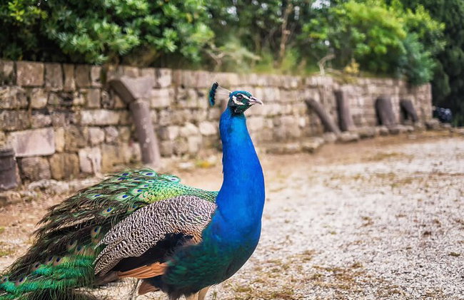 Rhodes Self Drive 4x4 Expedición al desierto y almuerzo tradicional - Foto 15