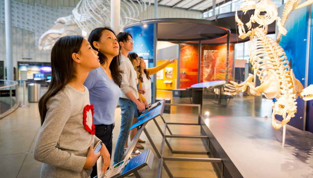 Entrada a la Academia de las Ciencias de California - Foto 5, Exposición de grandes mamíferos marinos