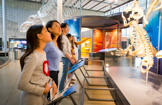 California Academy of Sciences Ticket - Photo 5