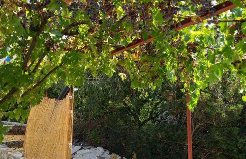 Kuća za odmor Skalina - Sea view - Photo 18