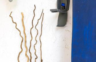 Landaise le lagunak avec piscine chauffée à 900 M de la plage - Foto 13