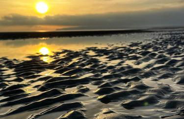 Rock Lobster - Foto 32