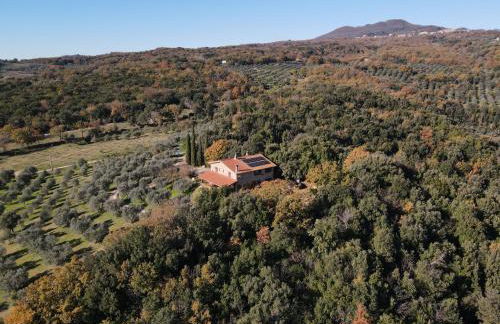 Agriturismo Campo al Crognolo - Foto 27