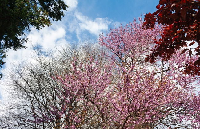 Casa Del Borgo "air & Water" - Photo 26